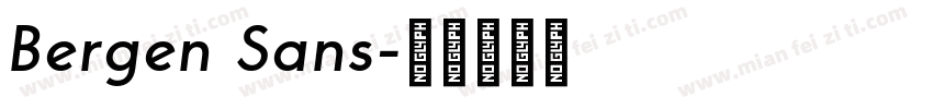 Bergen Sans字体转换